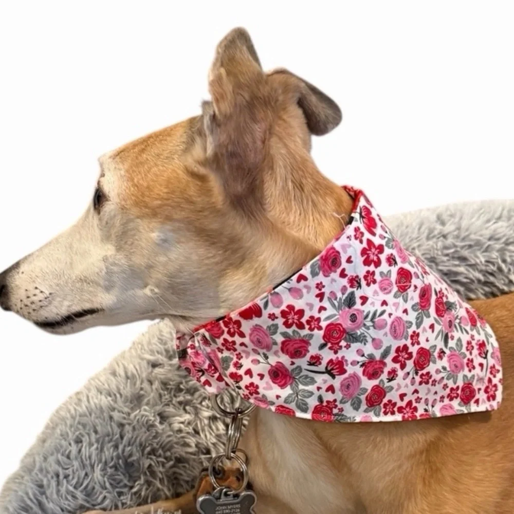 Floral Dog Bandana - Pink and Red by The Greyhound Co.
